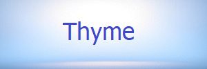 Thyme medical benefits dementia