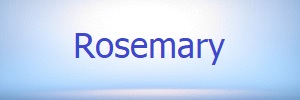 Dementia Rosemary Treatments Cures