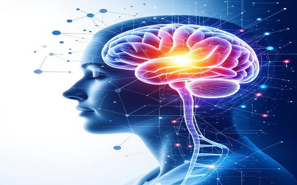 Types of Dementia 600 375 Types of Dementia
