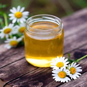 Chamomile Dementia Treatment Cure