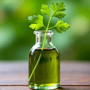 Coriander Dementia Cure Benefits Remedy