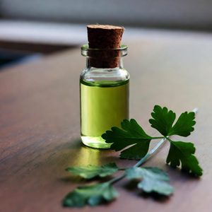 Coriander Dementia Cure Benefits Remedy