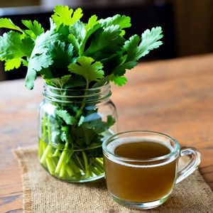 Coriander Dementia Cure Benefits Remedy
