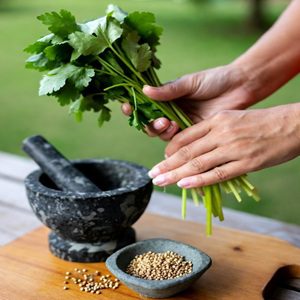 Coriander Dementia Cure Benefits Remedy