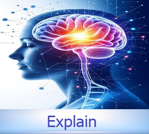Explain 300 270 Explain dementia understand explore