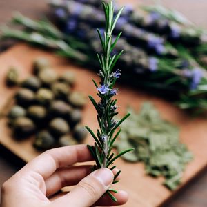 Rosemary Dementia Benefits Remedy