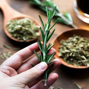 Rosemary Dementia Benefits Remedy