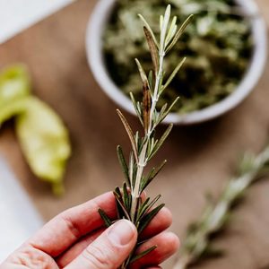 Rosemary Dementia Benefits Remedy