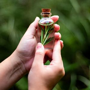 Rosemary Dementia Benefits Remedy