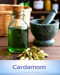 Cardamom Dementia Benefits Cures Remedy